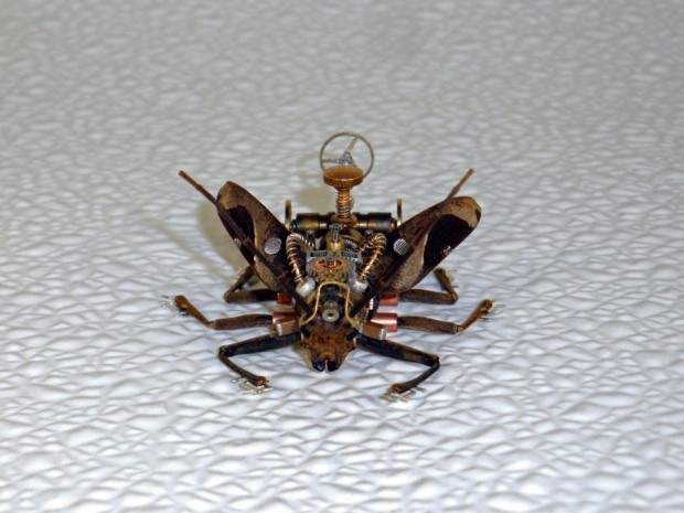 dead-scorpions-turned-into-steampunk-sculptures-using-watch-parts-photo-gallery_25