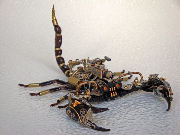 dead-scorpions-turned-into-steampunk-sculptures-using-watch-parts-photo-gallery_6