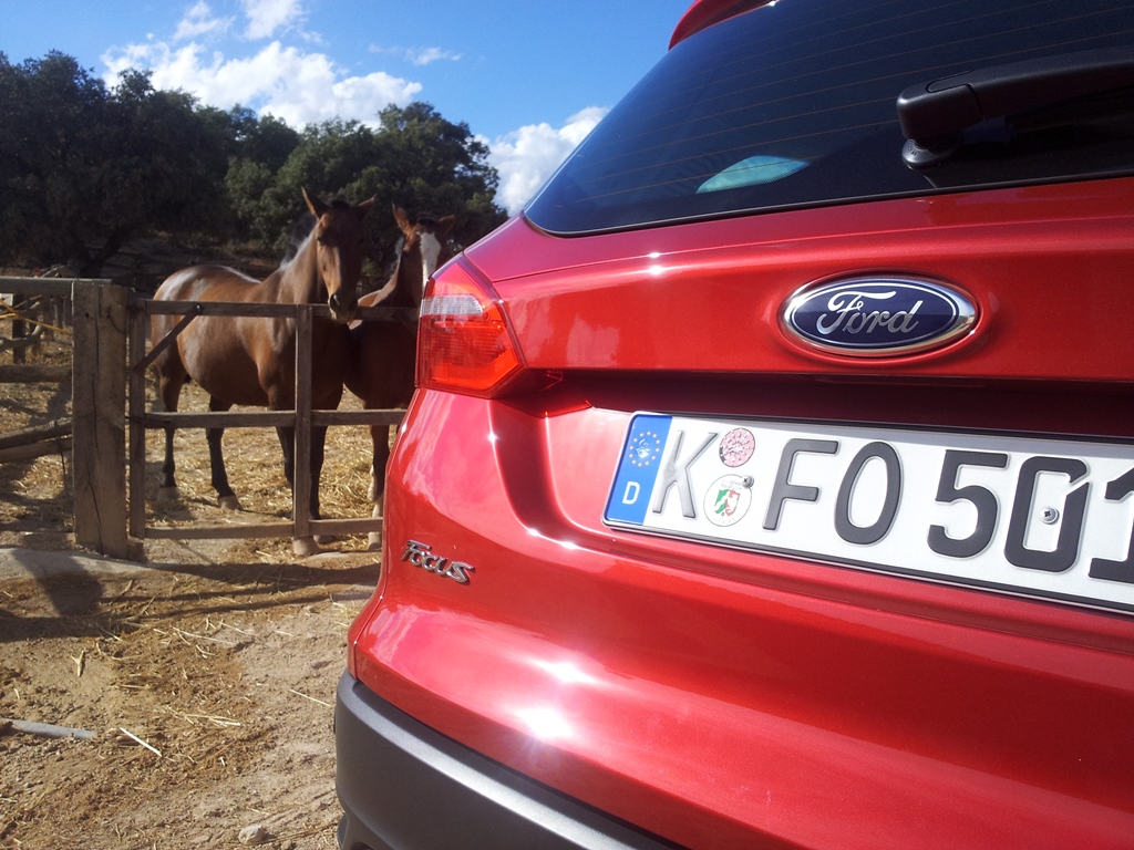 Ford Focus FL (2)