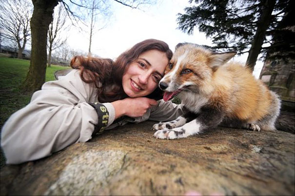 rescued-tame-pet-fox-cub-todd-emma-dsylva-4