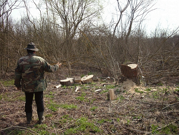 FOTO: gazetanord-vest.ro