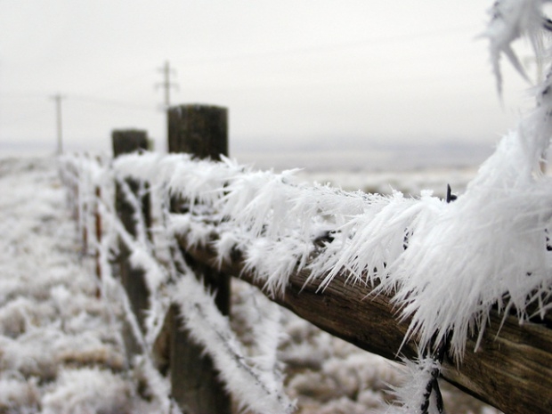 FOTO: antena3.ro