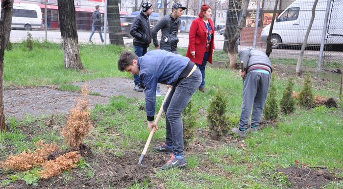 Elevii de la Colegiul „Sturdza” au plantat 50 de tuya