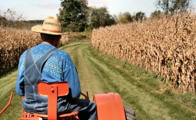 FOTO: agropress.ro