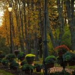 Grădina Botanică Anastasie Fătu – Iași