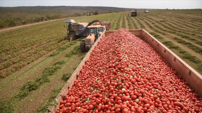 agricultura