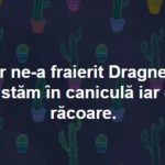 Fenta lui Dragnea