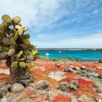 Insulele-Galapagos