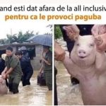 porc evavcuat