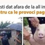 porc evavcuat