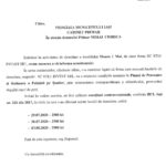 PV Politia Locala demolare Stef Invest