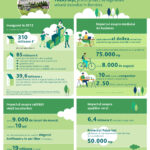 Infografic_Orase Renascute_Palas Iasi