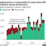 grafic productie opiu Afganistan