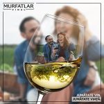 Murfatlar Noutati 2023